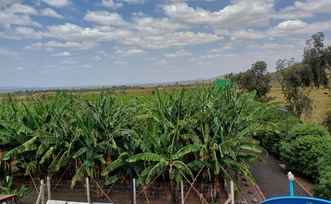 Farm/Ranch for Sale - Emali, Kenya