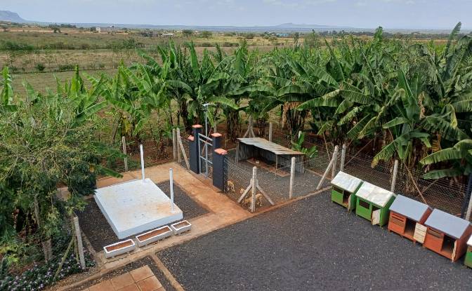 Farm/Ranch for Sale Emali, Nguu, Makueni County. Photo#5 Farm/Ranch for Sale Emali, Nguu, Makueni County. Photo#5
