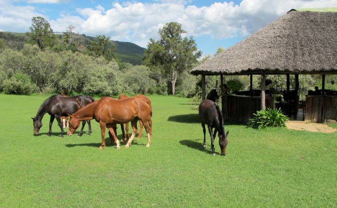 Land Lot for Sale Melewa, Naivasha, Nakuru County. Photo#3 Land Lot for Sale Melewa, Naivasha, Nakuru County. Photo#3