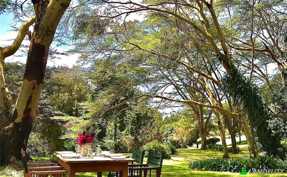 Land Lot for Sale Melewa, Naivasha, Nakuru County, Kenya. Photo 5