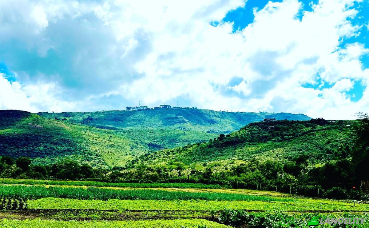 Land Lot for Sale Melewa, Naivasha, Nakuru County, Kenya. Photo 7