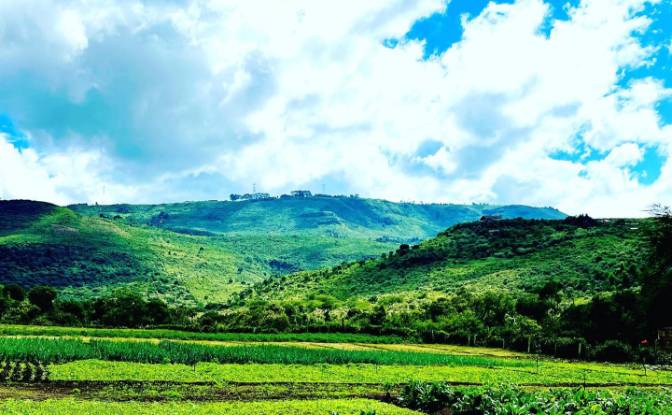Land Lot for Sale Melewa, Naivasha, Nakuru County. Photo#7 Land Lot for Sale Melewa, Naivasha, Nakuru County. Photo#7