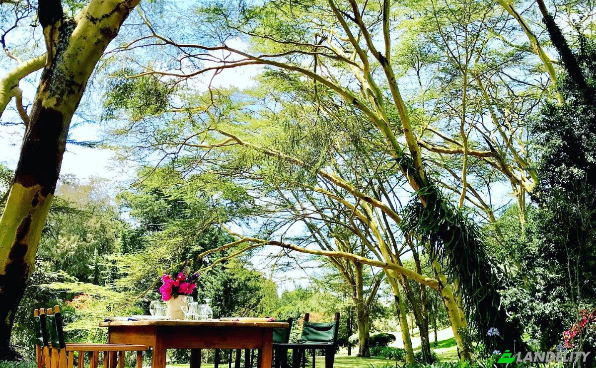 Land Lot for Sale Melewa, Naivasha, Nakuru County, Kenya. Photo 8