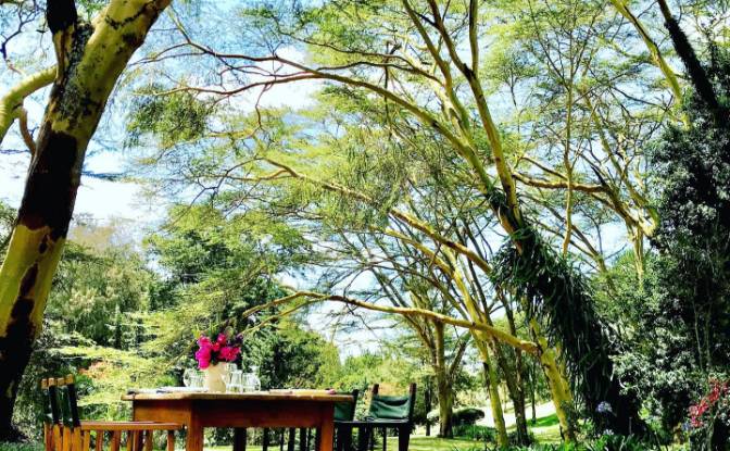 Land Lot for Sale Melewa, Naivasha, Nakuru County. Photo#8 Land Lot for Sale Melewa, Naivasha, Nakuru County. Photo#8