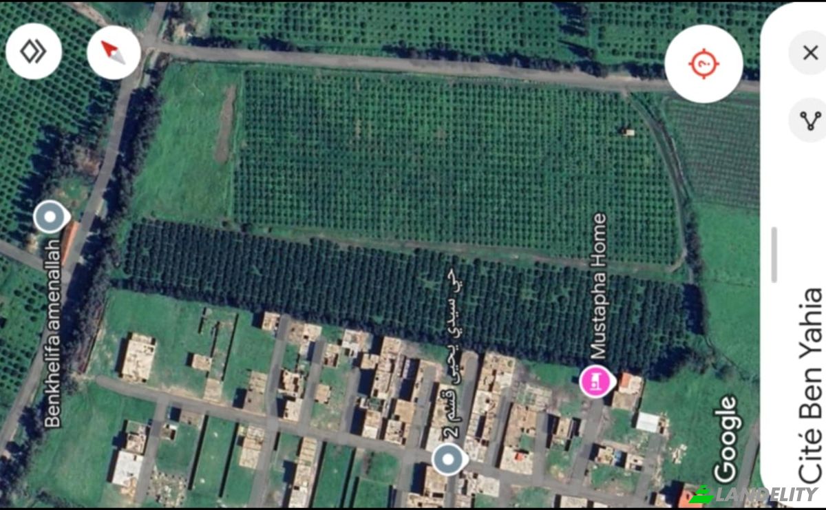 Land Lot for Sale Oued El Alleug, Oued Alleug, Blida Province, Algeria. Photo 1