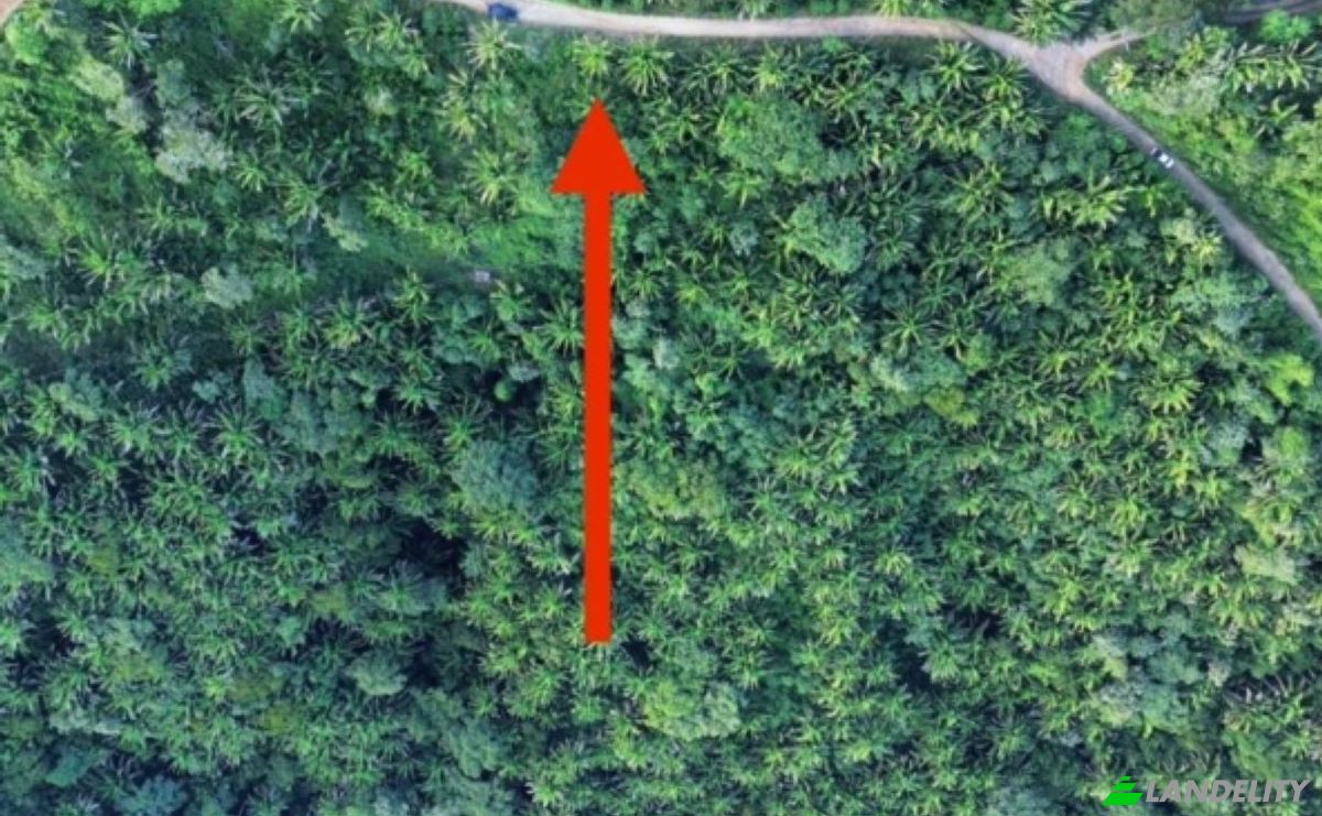 Land Lot for Sale Palmetto Bay Rd, Bay Islands, French Harbour, Roatan, Bay Islands Department, Honduras. Photo 15