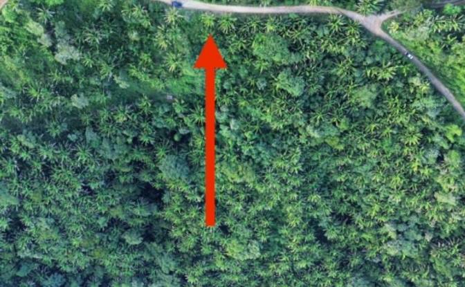 Land Lot for Sale Palmetto Bay Rd, Bay Islands. Photo#15
