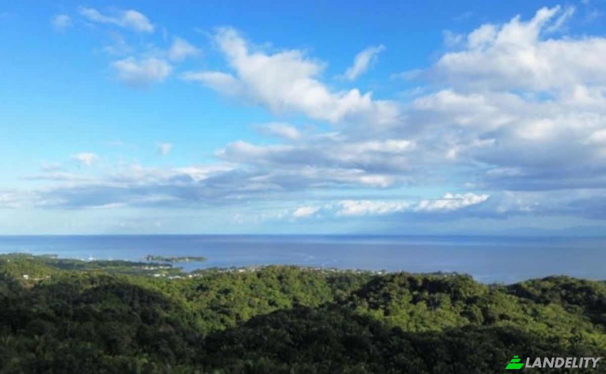 Land Lot for Sale Palmetto Bay Rd, Bay Islands, French Harbour, Roatan, Bay Islands Department, Honduras. Photo 2