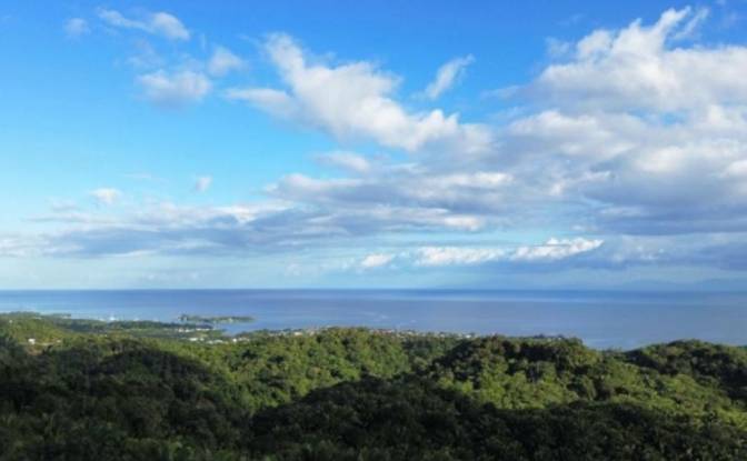 Land Lot for Sale Palmetto Bay Rd, Bay Islands. Photo#2