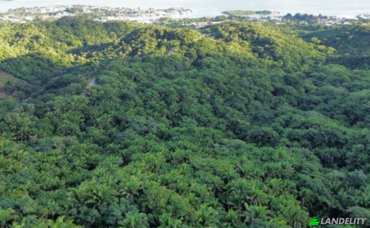 Land Lot for Sale Palmetto Bay Rd, Bay Islands, French Harbour, Roatan, Bay Islands Department, Honduras. Photo 6