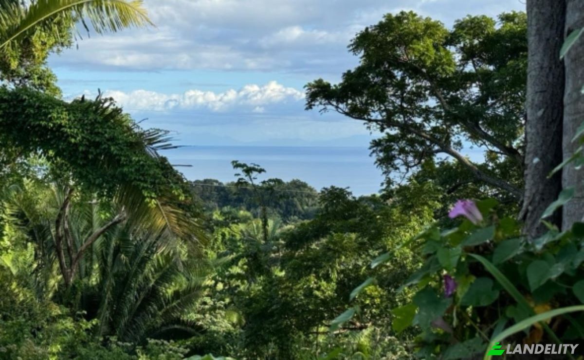 Land Lot for Sale Palmetto Bay Rd, Bay Islands, French Harbour, Roatan, Bay Islands Department, Honduras. Photo 8