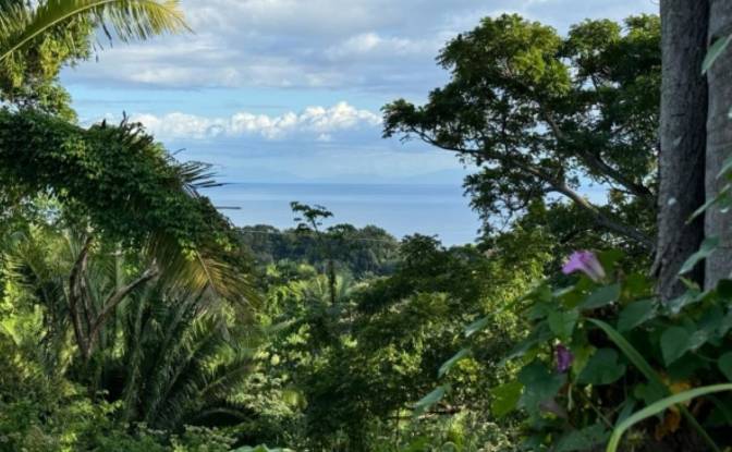 Land Lot for Sale Palmetto Bay Rd, Bay Islands. Photo#8