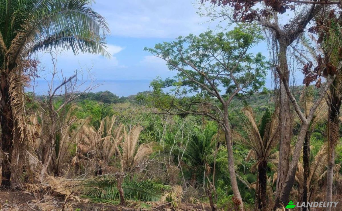 Land Lot for Sale Palmetto Bay Rd, Bay Islands, French Harbour, Roatan, Bay Islands Department, Honduras. Photo 12