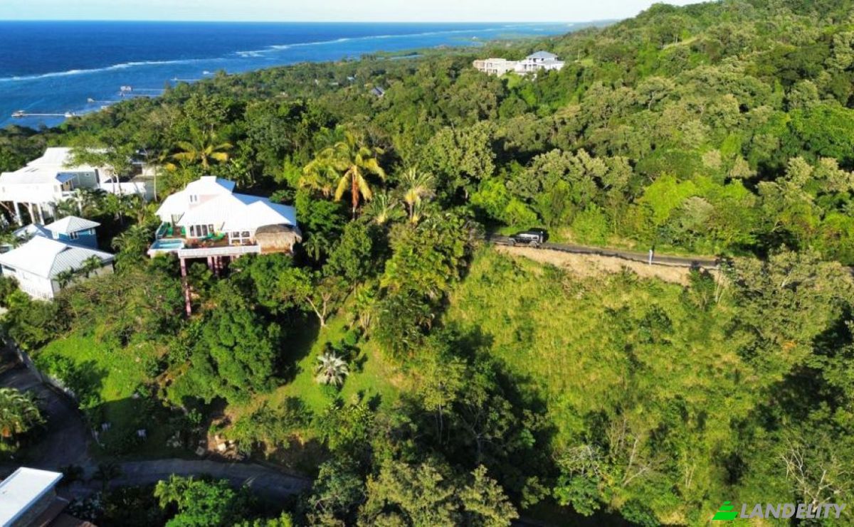 Land Lot for Sale Topridge, Sandy Bay, Roatan, Bay Islands Department, Honduras, Islas de la Bahia. Photo 5