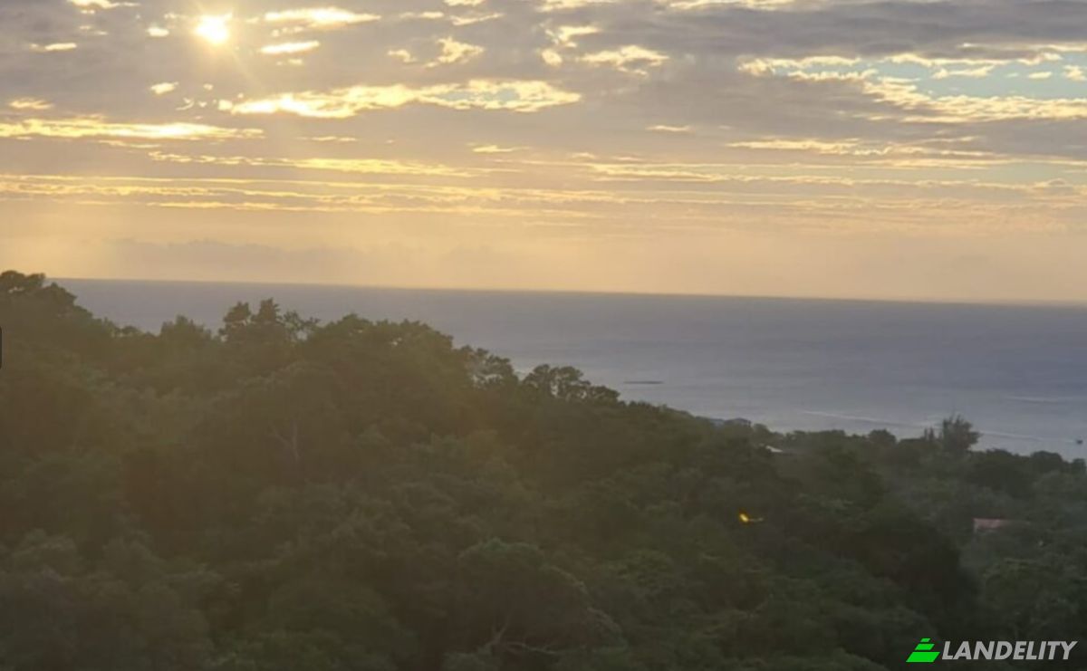Land Lot for Sale Topridge, Sandy Bay, Roatan, Bay Islands Department, Honduras, Islas de la Bahia. Photo 12