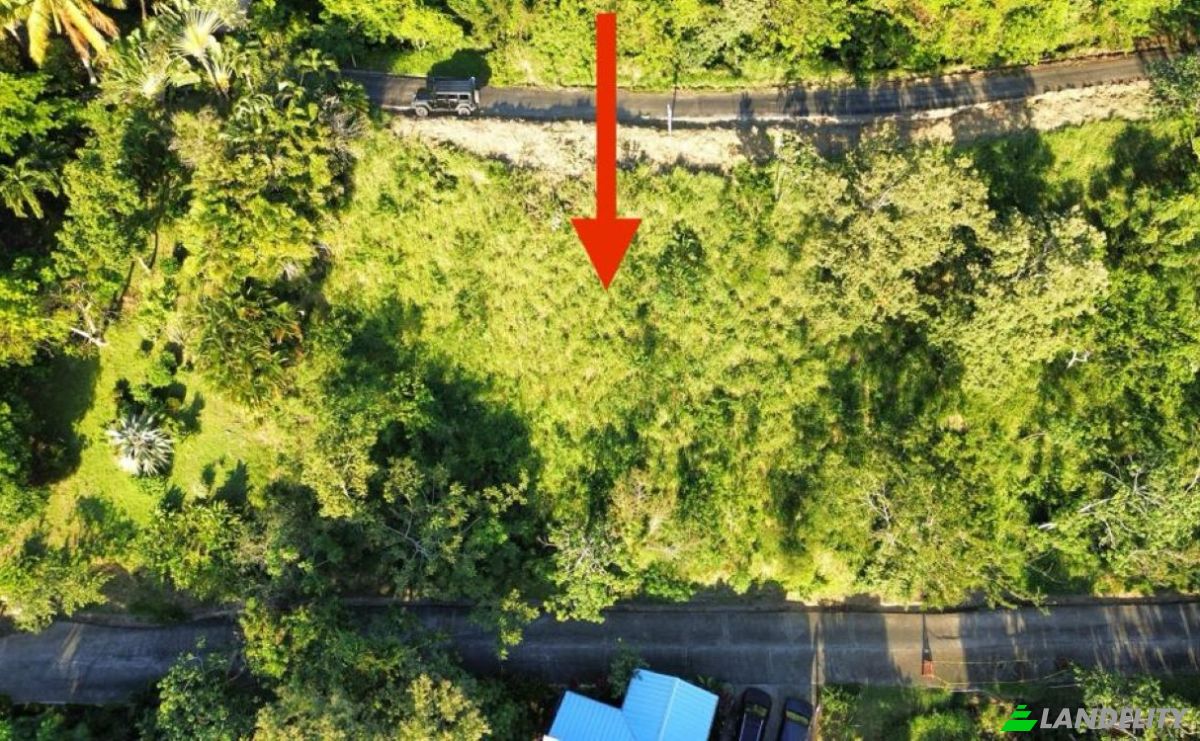 Land Lot for Sale Topridge, Sandy Bay, Roatan, Bay Islands Department, Honduras, Islas de la Bahia. Photo 8