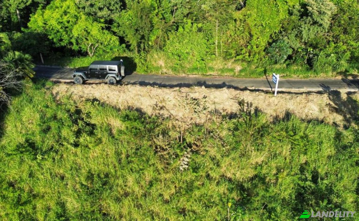 Land Lot for Sale Topridge, Sandy Bay, Roatan, Bay Islands Department, Honduras, Islas de la Bahia. Photo 10