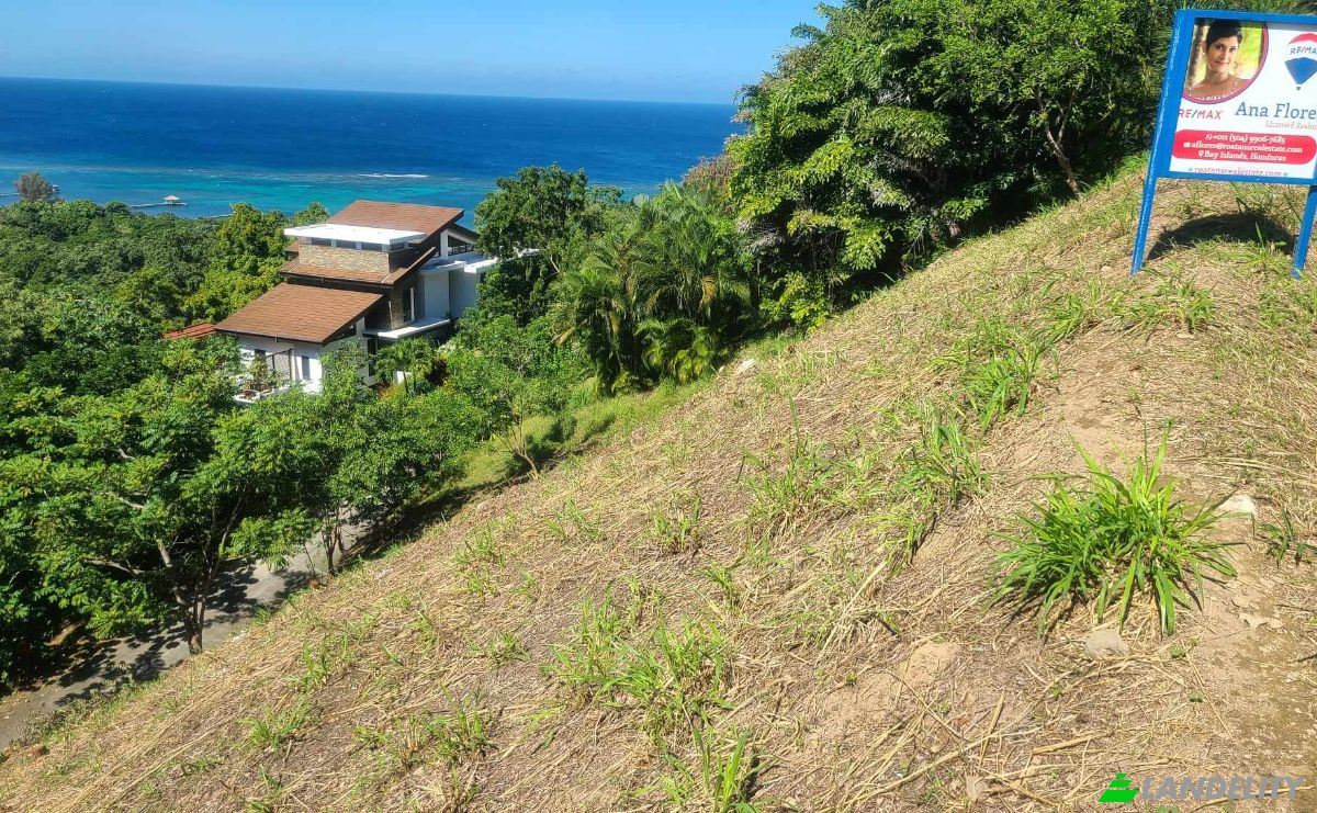 Land Lot for Sale Topridge, Sandy Bay, Roatan, Bay Islands Department, Honduras, Islas de la Bahia. Photo 14