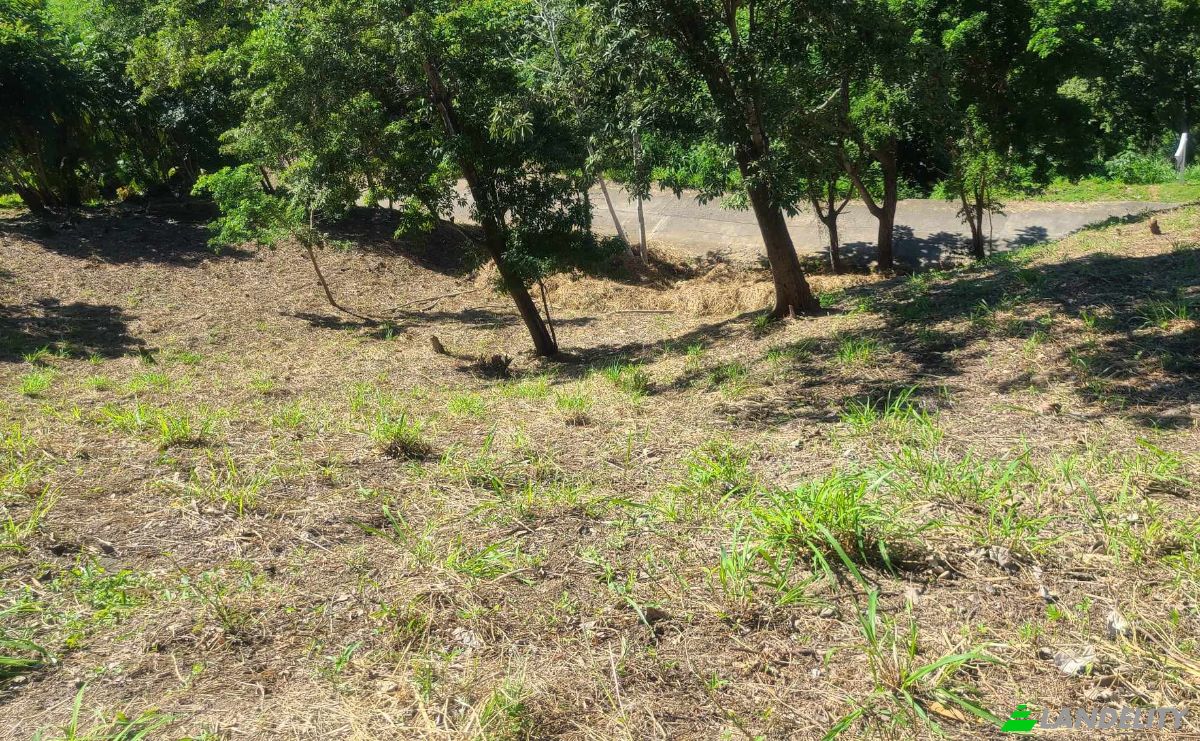 Land Lot for Sale Topridge, Sandy Bay, Roatan, Bay Islands Department, Honduras, Islas de la Bahia. Photo 15