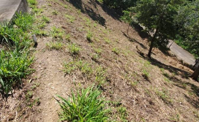 Land Lot for Sale Topridge, Sandy Bay, Roatan. Photo#7 Land Lot for Sale Topridge, Sandy Bay, Roatan. Photo#7