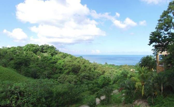 Land Lot for Sale Topridge, Sandy Bay, Roatan. Photo#8 Land Lot for Sale Topridge, Sandy Bay, Roatan. Photo#8