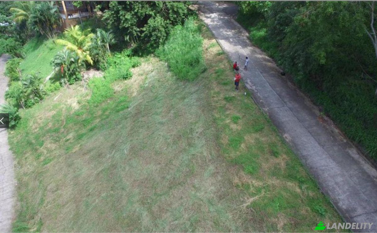 Land Lot for Sale Topridge, Sandy Bay, Roatan, Bay Islands Department, Honduras, Islas de la Bahia. Photo 10