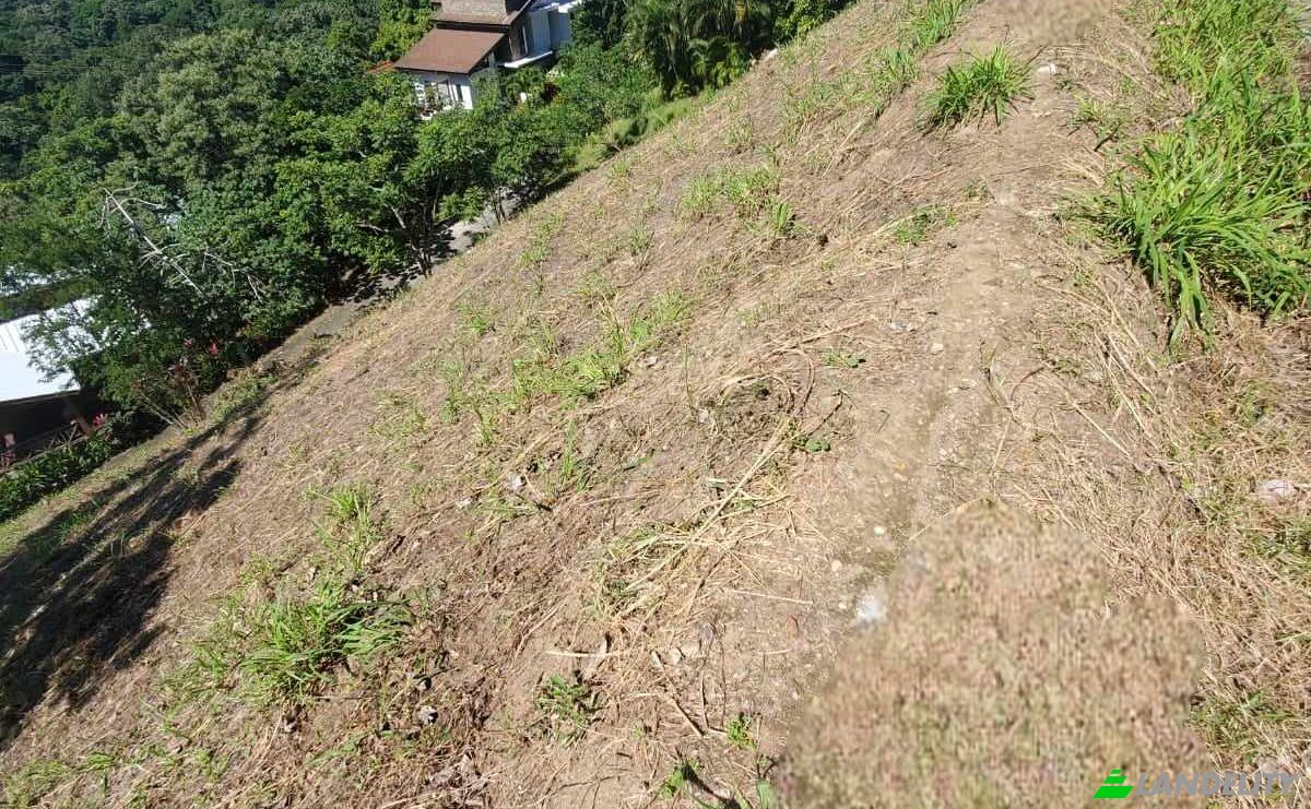 Land Lot for Sale Topridge, Sandy Bay, Roatan, Bay Islands Department, Honduras, Islas de la Bahia. Photo 11
