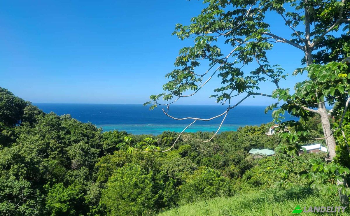 Land Lot for Sale Topridge, Sandy Bay, Roatan, Bay Islands Department, Honduras, Islas de la Bahia. Photo 12