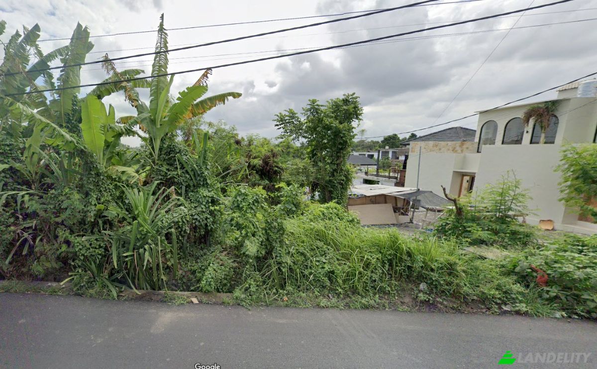Investing/Development for Sale Jl Raya Tumbakbayuh, Tumbak Bayuh, Kec Mengwi, Kabupaten Badung, Bali 80351, Mengwi, Badung Regency, Bali, Indonesia. Photo 4