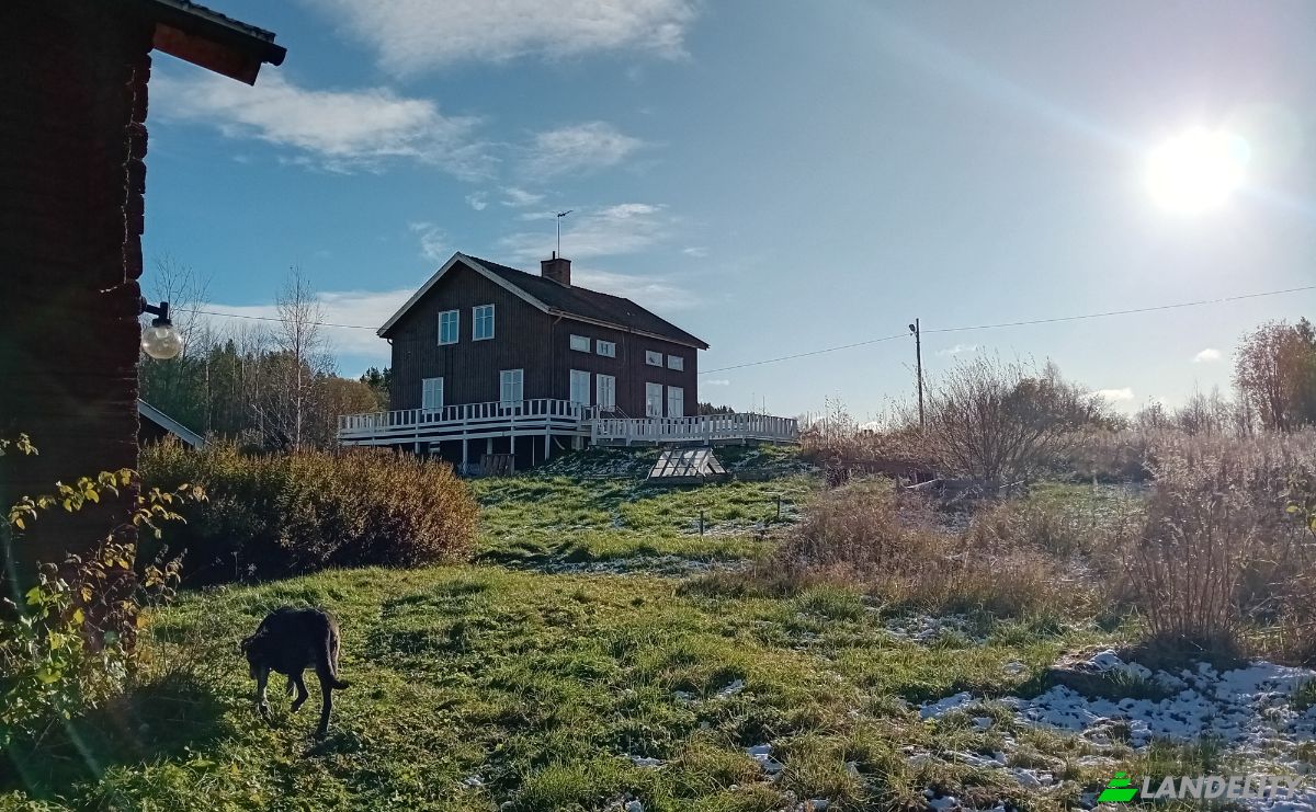 Farm/Ranch for Sale Lomsjo 204, 910 60 Asele, Lomsjo, Asele Municipality, Vasterbotten County, Sweden. Photo 6