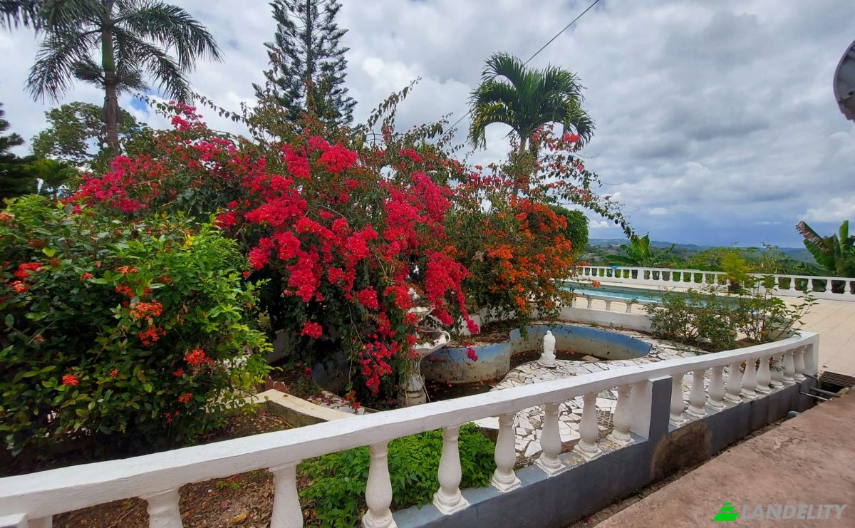 Villa en venta B 4, Sanquinetti, Clarendon, Jamaica. Foto 16
