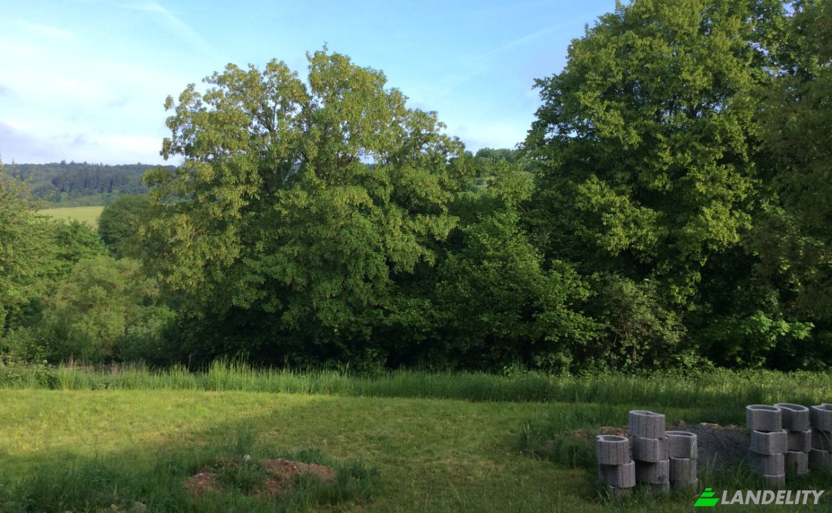 Investing/Development for Sale Laubacher Str 44, 63679 Schotten, Schotten, Giessen, Hessen, Germany. Photo 18