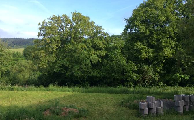 Investing/Development for Sale Laubacher Str 44. Photo#18