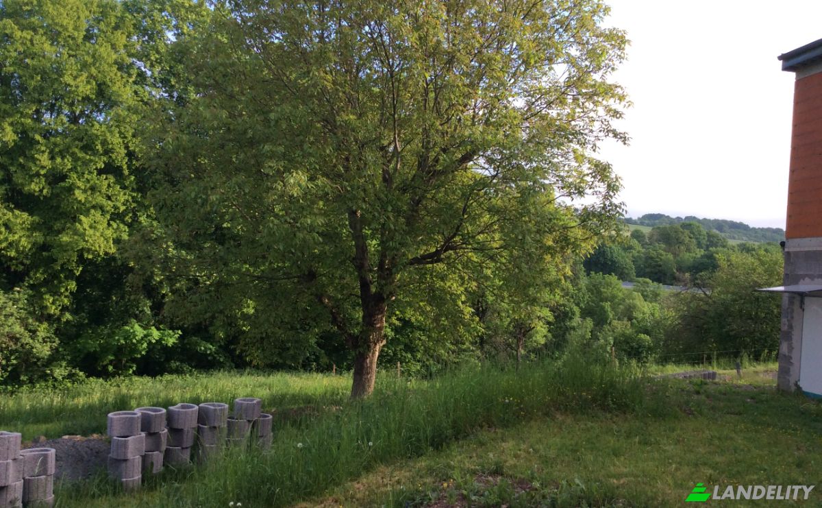 Investing/Development for Sale Laubacher Str 44, 63679 Schotten, Schotten, Giessen, Hessen, Germany. Photo 19