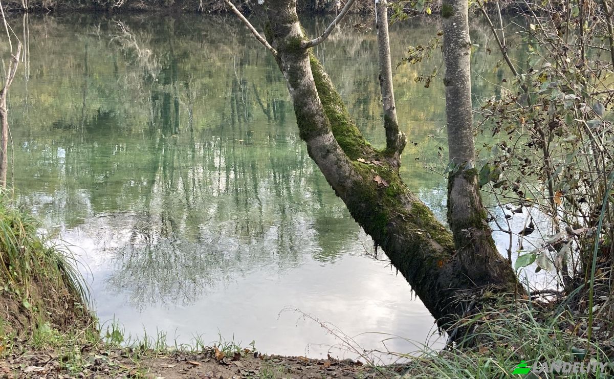 Single Family Home for Sale Dragosi 8, 8341 Adlesici, Dragosi, Municipality of Crnomelj, Crnomelj, Slovenia. Photo 5