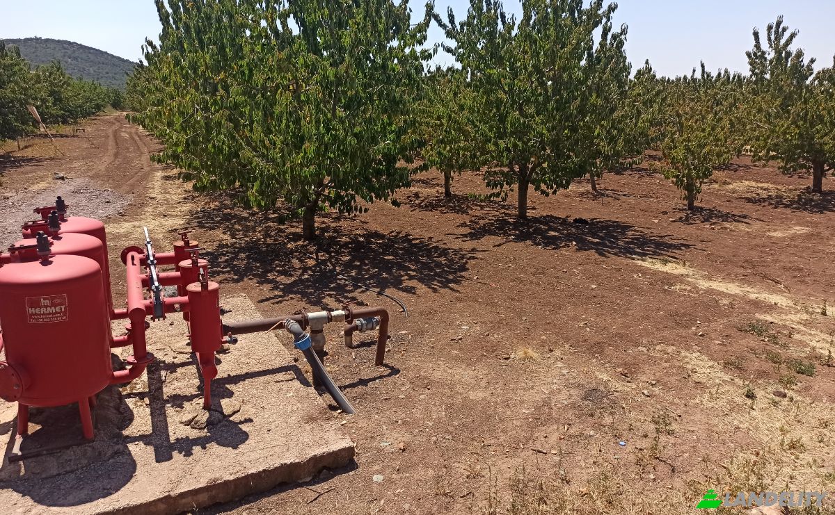 Farm/Ranch for Sale Ilicalar, Mihaliccik, Eskisehir, Turkiye, Isimsiz Yol, 26900 Mihaliccik Eskisehir. Photo 7