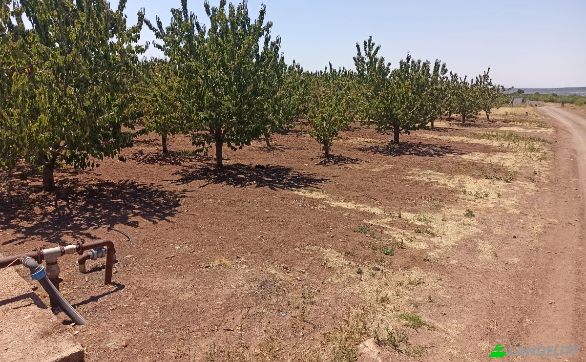 Farm/Ranch for Sale Ilicalar, Mihaliccik, Eskisehir, Turkiye, Isimsiz Yol, 26900 Mihaliccik Eskisehir. Photo 8