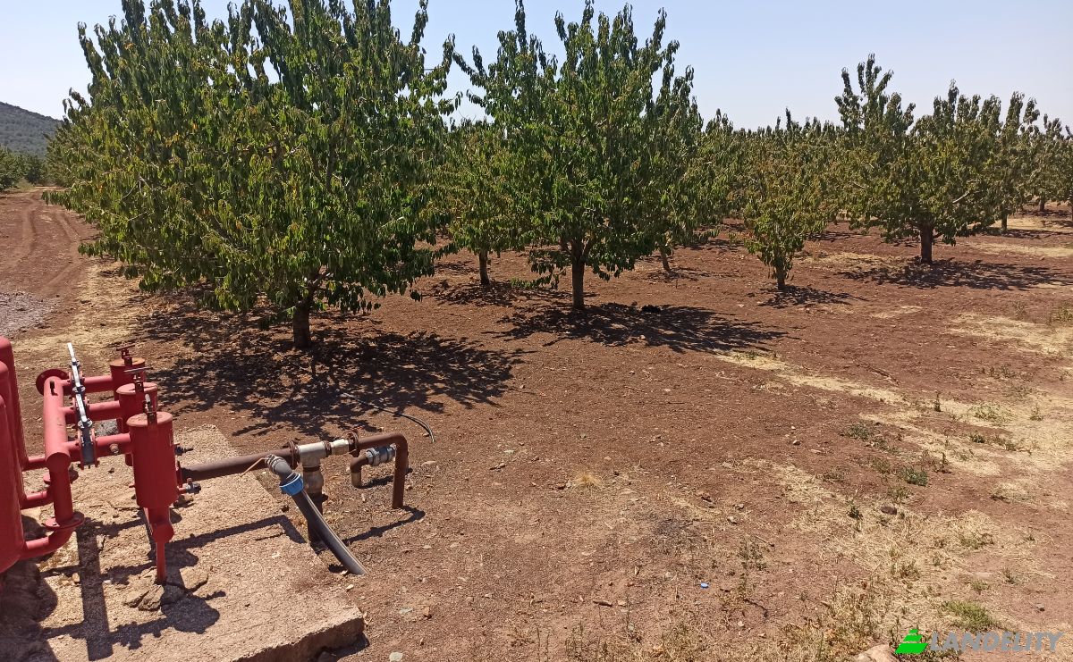 Farm/Ranch for Sale Ilicalar, Mihaliccik, Eskisehir, Turkiye, Isimsiz Yol, 26900 Mihaliccik Eskisehir. Photo 9