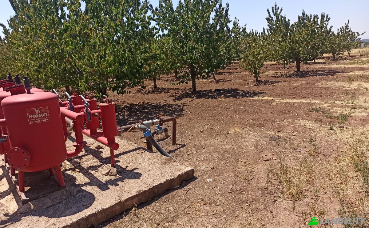 Farm/Ranch for Sale Ilicalar, Mihaliccik, Eskisehir, Turkiye, Isimsiz Yol, 26900 Mihaliccik Eskisehir. Photo 10