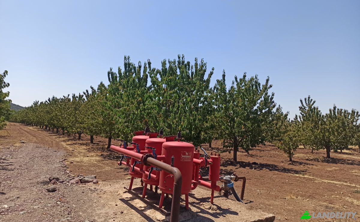 Farm/Ranch for Sale Ilicalar, Mihaliccik, Eskisehir, Turkiye, Isimsiz Yol, 26900 Mihaliccik Eskisehir. Photo 13