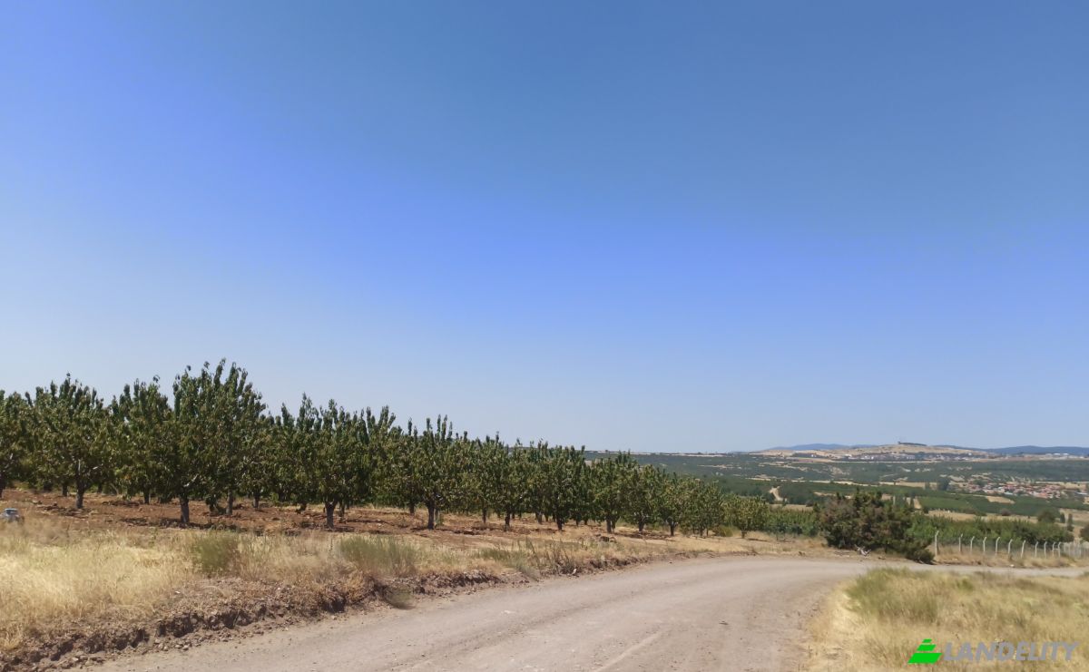 Farm/Ranch for Sale Ilicalar, Mihaliccik, Eskisehir, Turkiye, Isimsiz Yol, 26900 Mihaliccik Eskisehir. Photo 14