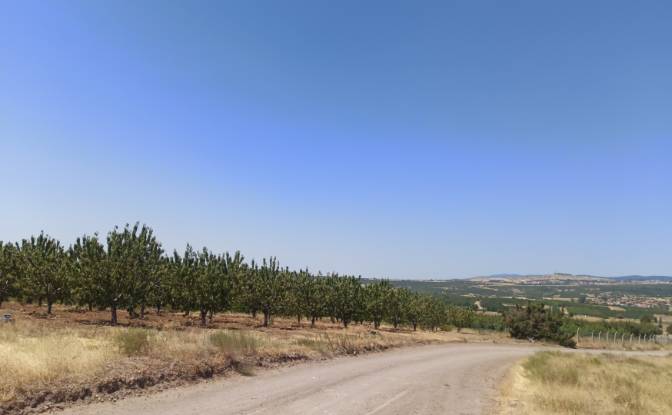 Farm/Ranch for Sale Ilicalar, Mihaliccik. Photo#14 Farm/Ranch for Sale Ilicalar, Mihaliccik. Photo#14