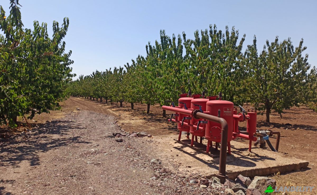 Farm/Ranch for Sale Ilicalar, Mihaliccik, Eskisehir, Turkiye, Isimsiz Yol, 26900 Mihaliccik Eskisehir. Photo 1