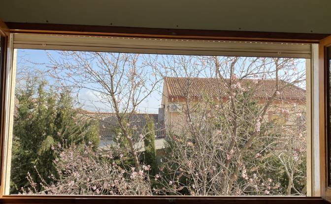 Single Family Home for Sale C Codorniz, Alomartes. Photo#5