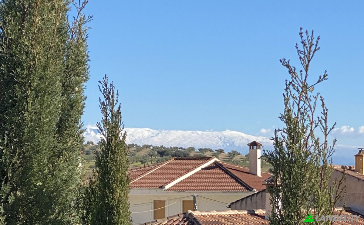 Single Family Home for Sale C Codorniz, Alomartes, Granada, Andalusia, Spain. Photo 8