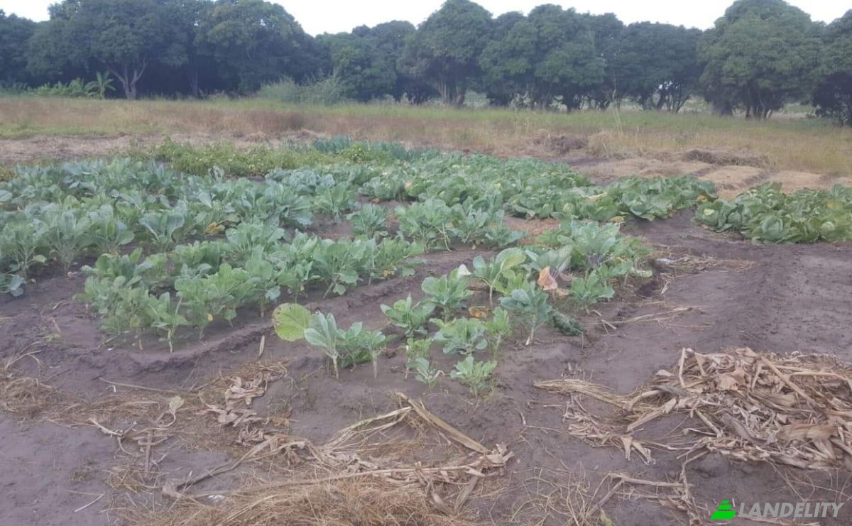 Land Lot for Sale Rua Da Igreja, Maputo, Cidade de Maputo, Mozambique. Photo 4