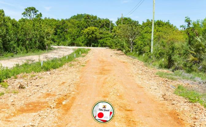 Land Lot for Sale Kinondo, Diani Beach, Msambweni. Photo#1 Land Lot for Sale Kinondo, Diani Beach, Msambweni. Photo#1