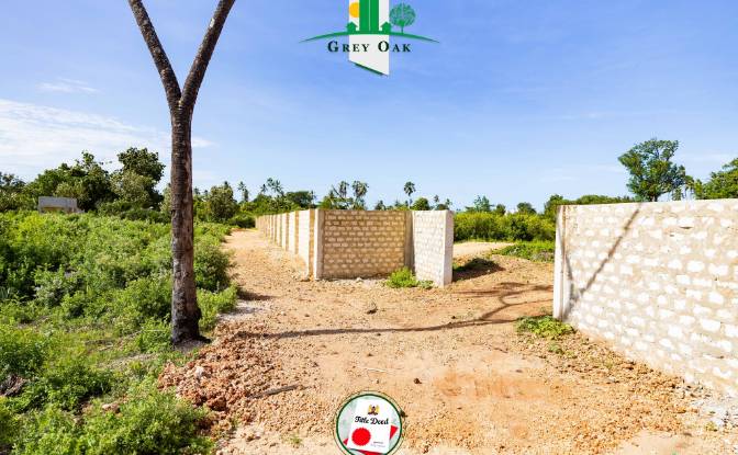 Land Lot for Sale Kinondo, Diani Beach, Msambweni. Photo#4 Land Lot for Sale Kinondo, Diani Beach, Msambweni. Photo#4