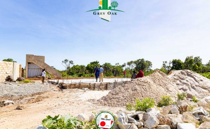 Land Lot for Sale Kinondo, Diani Beach, Msambweni. Photo#5 Land Lot for Sale Kinondo, Diani Beach, Msambweni. Photo#5