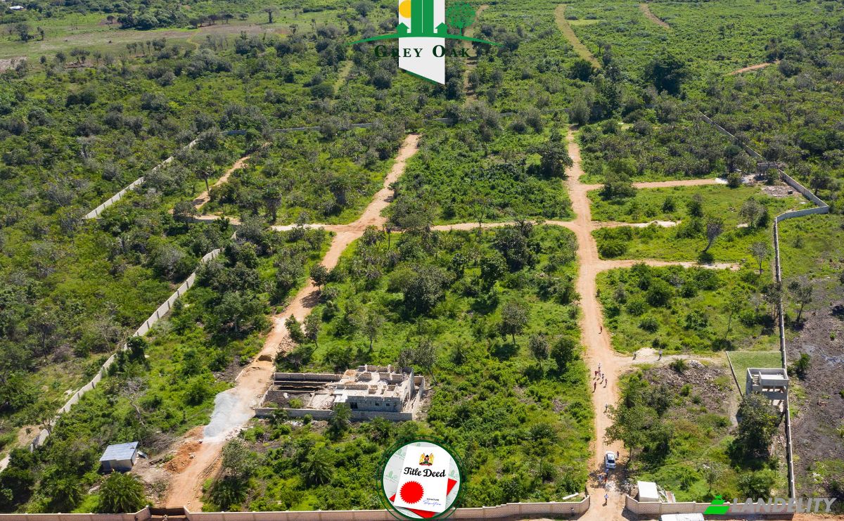 Land Lot for Sale Kinondo, Diani Beach, Msambweni, Kwale County, Kenya. Photo 7
